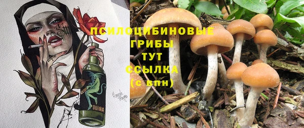амф Белокуриха