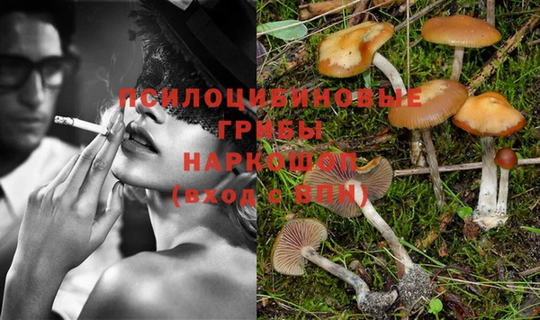 PSILOCYBIN Белоозёрский