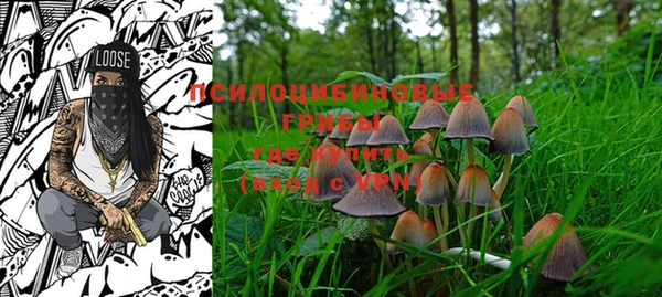 PSILOCYBIN Белоозёрский