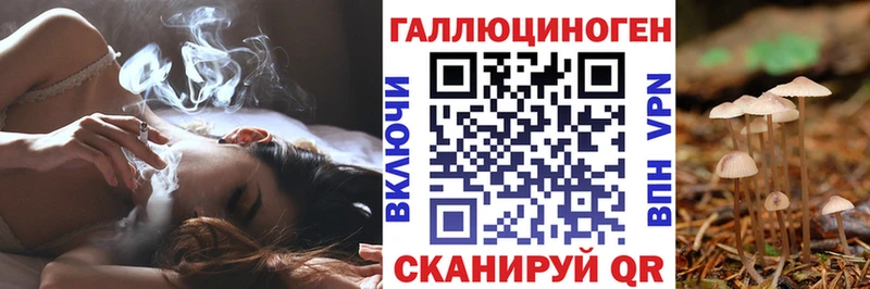 гидра как зайти  Борисоглебск  Галлюциногенные грибы Psilocybe 